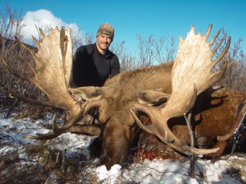 Tombstone Outfitters Yukon Hunting Moose-010883