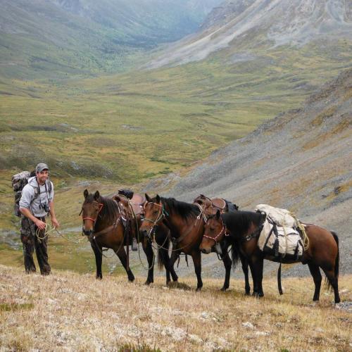 Tombstone-Outfitters-Yukon-Hunting-Tom-2015-1264