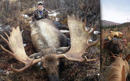 large-moose-tombstone-canada-hunting