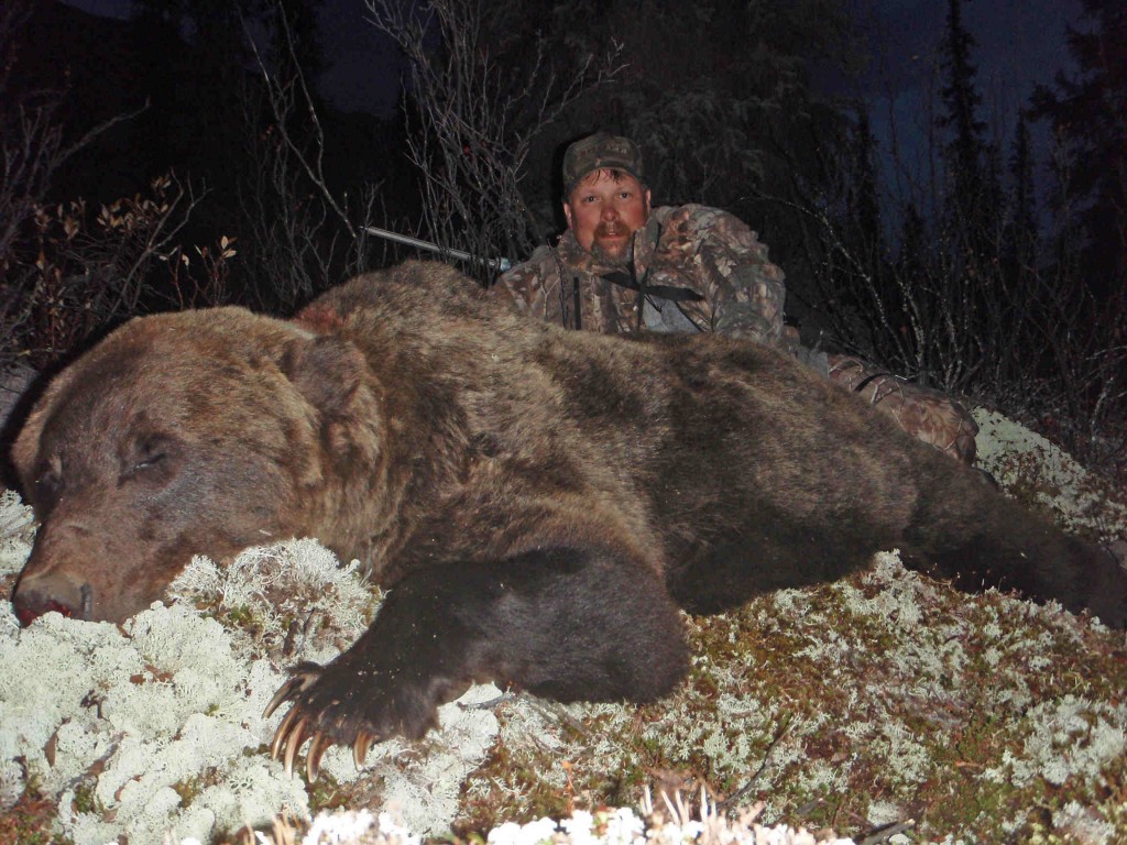 Grizzly Bear | Tombstone Outfitters