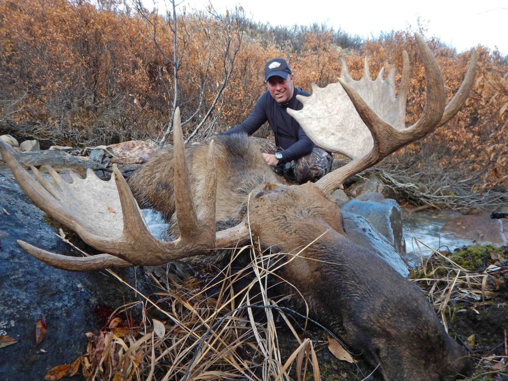 Yukon/Alaska Moose | Tombstone Outfitters