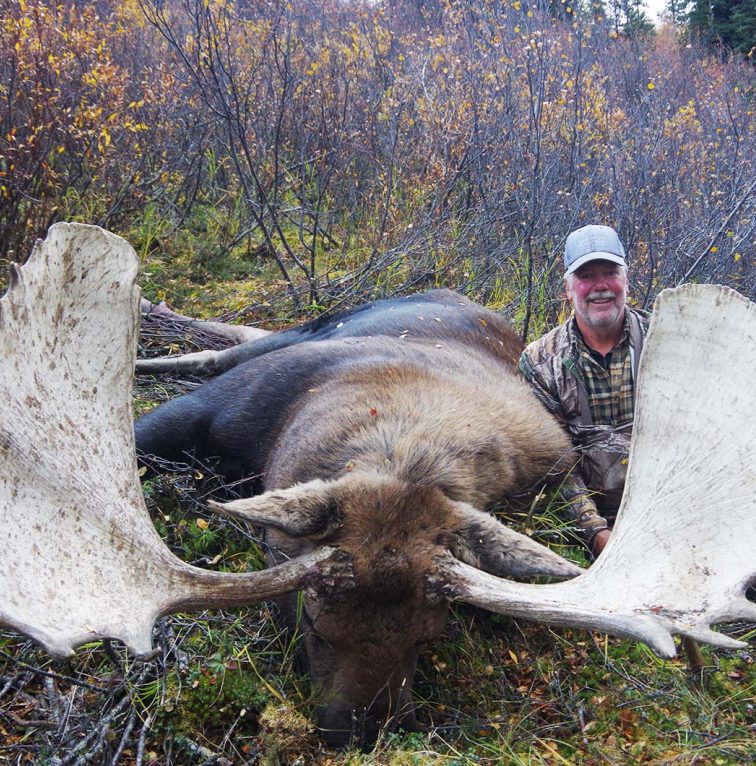 Yukon/Alaska Moose – Tombstone Outfitters