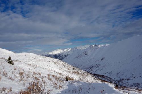 Tombstone-Outfitters-0469