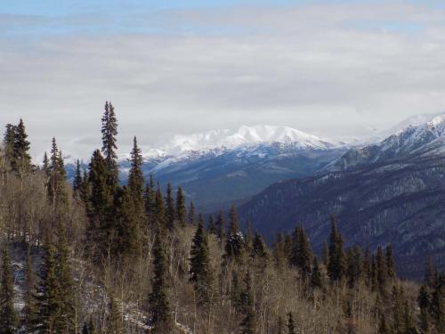 Tombstone-Outfitters-0496