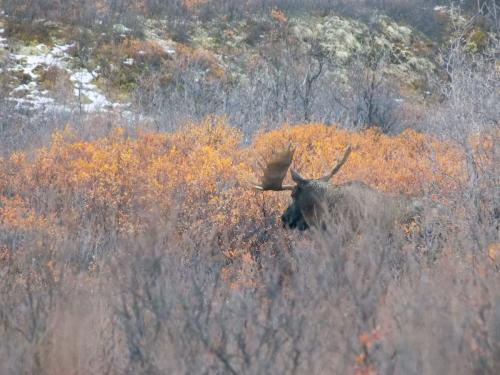 Tombstone-Outfitters-0509