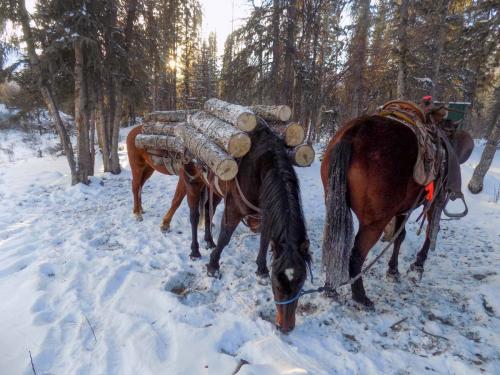 Tombstone-Outfitters-0587