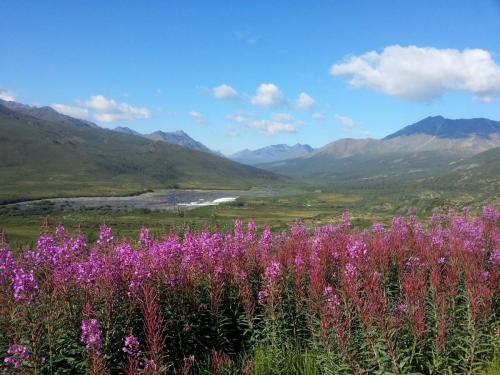 Tombstone-Outfitters-10