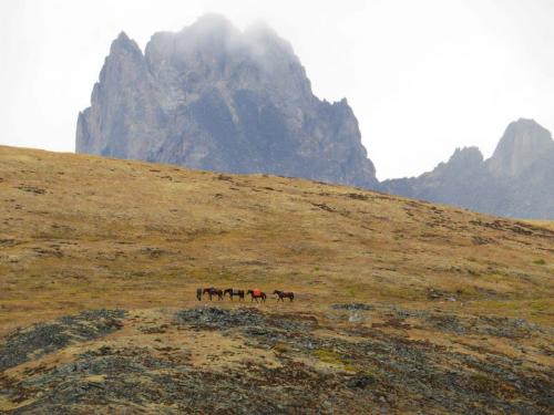 Tombstone-Outfitters-1378