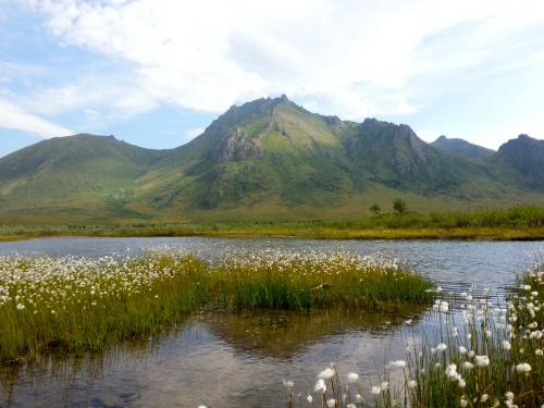 Tombstone-Outfitters-14