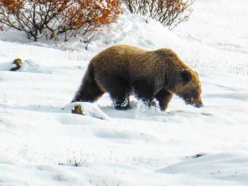 Tombstone-Outfitters-1471