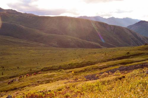 Tombstone-Outfitters-1518