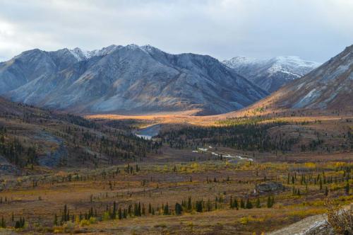 Tombstone-Outfitters-1535