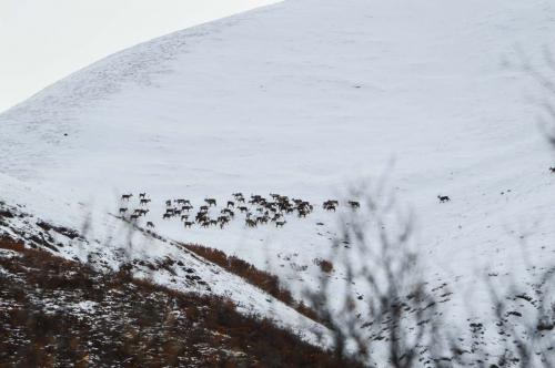 Tombstone-Outfitters-1545