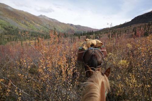 Tombstone-Outfitters-2