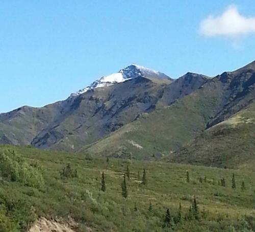 Tombstone-Outfitters-6