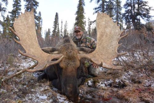 Tombstone Outfitters-Moose