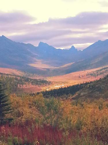 Tombstone-Outfitters-Scenery-1