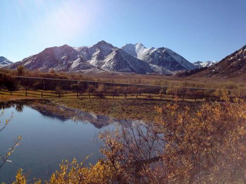 Tombstone-Outfitters-Scenery-1156