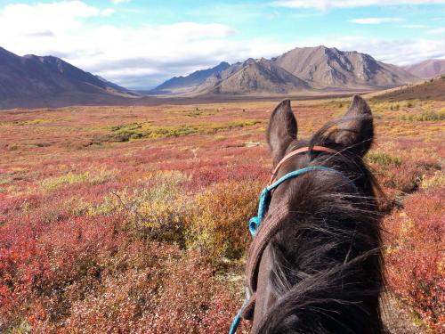 Tombstone-Outfitters-Scenery-2