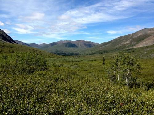 Tombstone Outfitters Sept 15-2-2