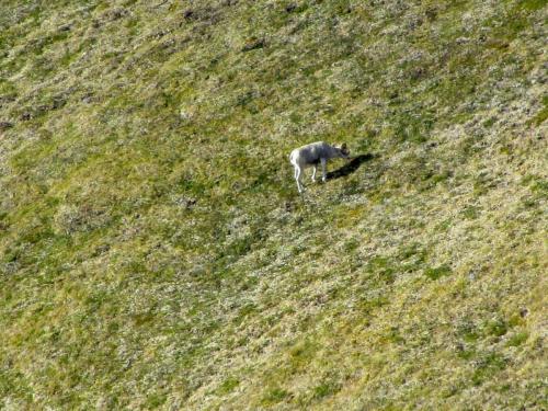 Tombstone Outfitters Sept 15-3