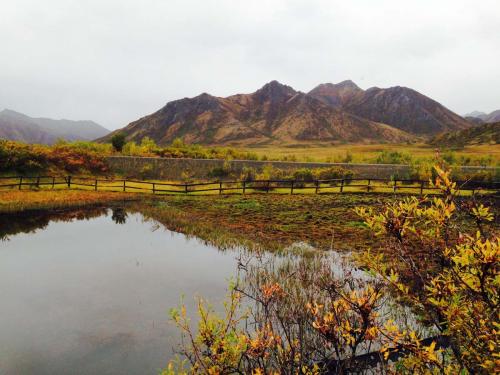 Tombstone Outfitters Sept 15--7