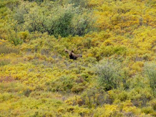 Tombstone Outfitters Sept 15--9