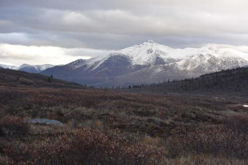Tombstone-Outfitters-Yukon-Hunting-3142