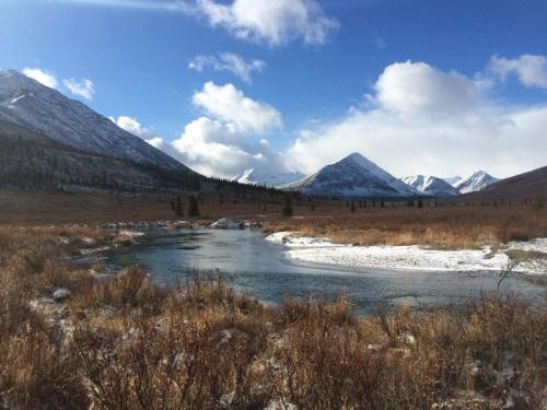 Tombstone-Outfitters-Yukon-Hunting-7993