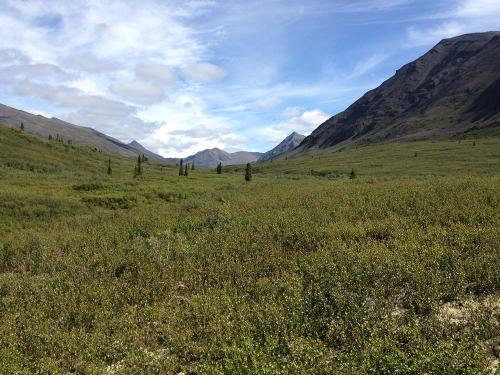 Tombstone-Outfitters_0995