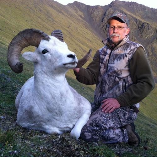 sheep-hunting-yukon-2014