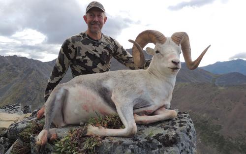 sheep-trophy-hunting-canada