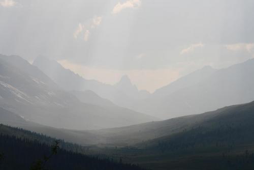 tombstonemountain-hunting-moose-sheep